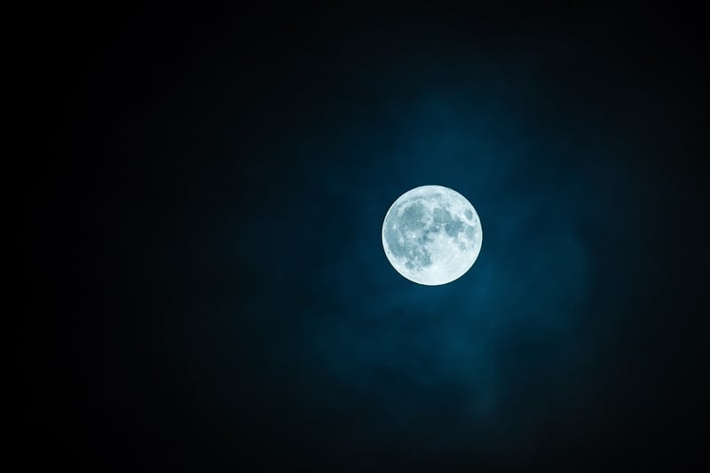 Moonlit Gathering